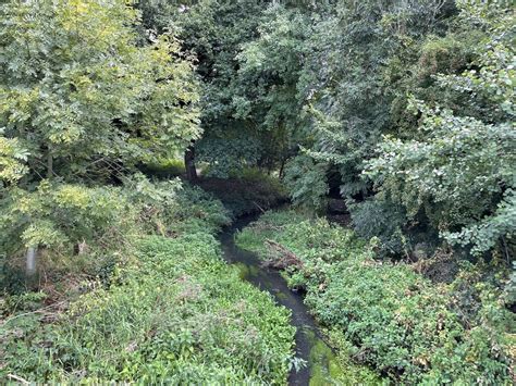 Cove Brook Mr Ignavy Geograph Britain And Ireland