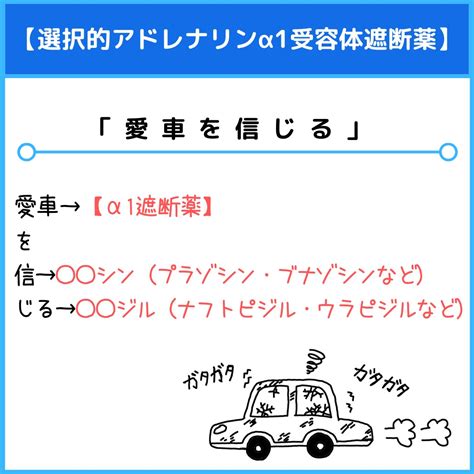 選択的アドレナリンα1受容体遮断薬のゴロ（覚え方）｜薬学ゴロ 薬学部はゴロでイチコロ！