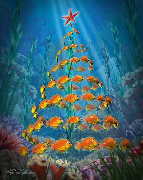 Pin By Hawaii Ocean Rafting On Hawaii Ocean Rafting Christmas Tree