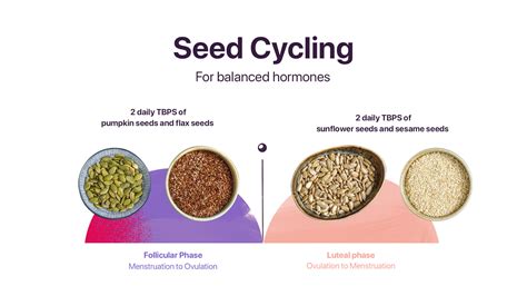 Seed Cycling Chart - Draw-e