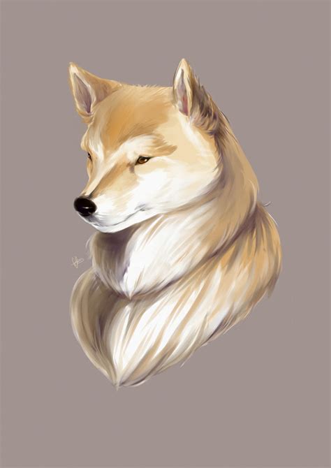 Shiba Inu By Funneltime On Deviantart