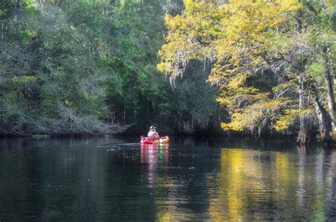 Florida Paddle Notes Withlacoochee River