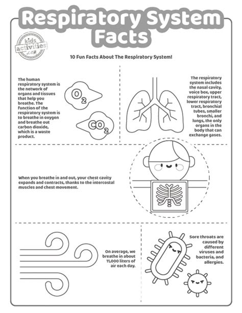 Fun Respiratory System For Kids To Print And Learn Kids Activities Blog