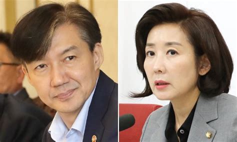 조국 딸vs나경원 아들국감서도 팽팽한 조국 공방 네이트 뉴스