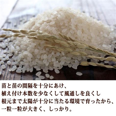 【中米】令和3年新米 山形県庄内産 中粒米 白米25kg Blogknakjp