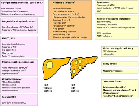 Pathophysiology Of Hepatocellular Carcinoma