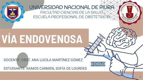 Res Menes De Endovenosa Descarga Apuntes De Endovenosa