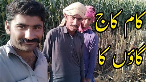 Kam Kaj Village Ka Javedkamran Kamkaj YouTube