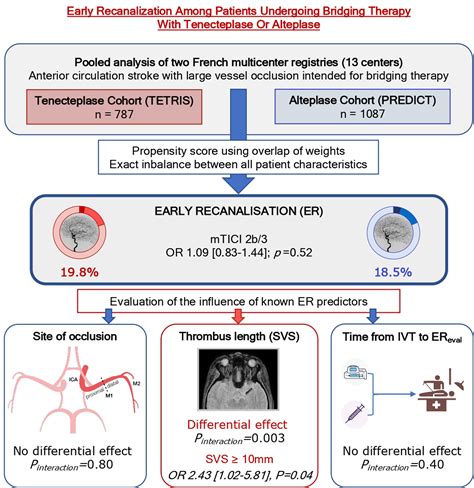 Early Recanalization Among Patients Undergoing Bridging Therapy With Tenecteplase Or Alteplase