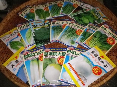 秋冬野菜の種まき 第一弾 熊取のおっちゃんの徒然草