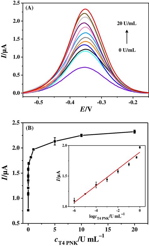 A Dpv Response Curves And B Peak Currents Of Biosensor Vs Different