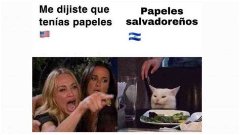 Los Memes De Gatos Más Populares Del 2019 ¿cuál Es Tu Favorito