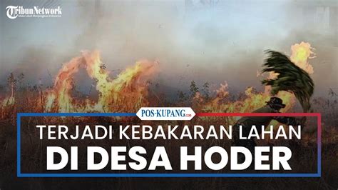 Puluhan Hektar Lahan Terbakar Di Desa Hoder Sikka Petugas Kesulitan