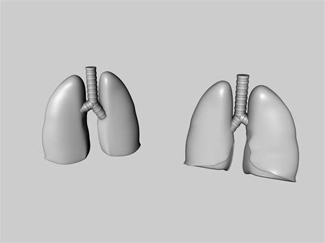 Lungs Human Smoker Vs Non Smoker 3d Model 29 3dm 3ds C4d Dae