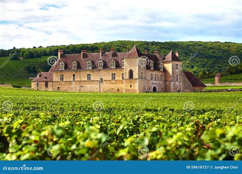 Typical French Vineyard And Chateau France Editorial Photography