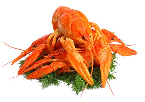 Lobster Png Transparent Image Download Size 1280x904px