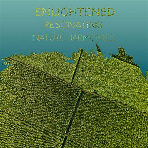 Zzz Enlightened Resonating Nature Harmonies Zzz Album By Echoes Of