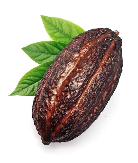 Premium Photo Cacao Pod Isolated