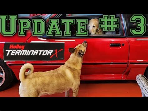 Foxy Roxy Update Holley Terminator X Youtube