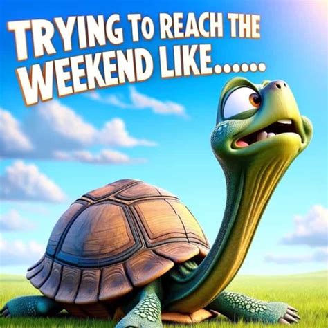 funny turtle memes ai turtle pics  turtle hub