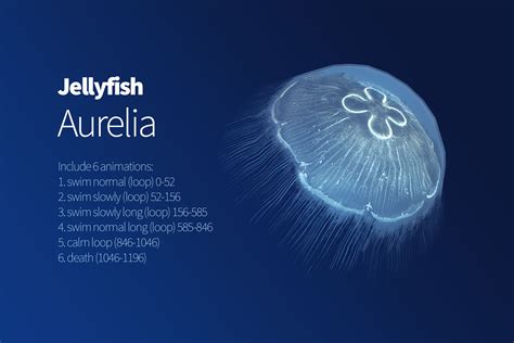 Jellyfish Aurelia | Characters | Unity Asset Store