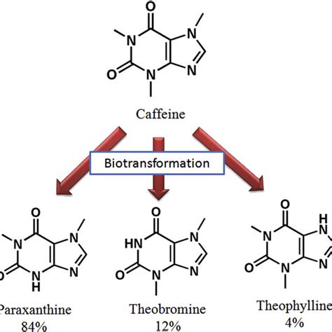 Structure of xanthine. | Download Scientific Diagram