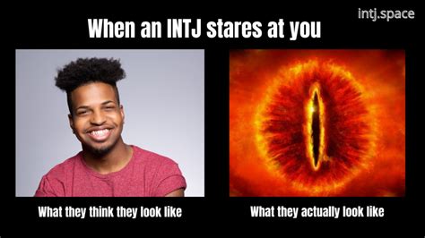 List of 14 Best INTJ memes - The INTJ Space