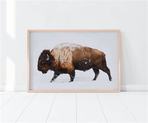 Buffalo Art Print, Buffalo Wall Art, Nursery Poster, Buffalo Poster, Bison Art Print, Buffalo ...