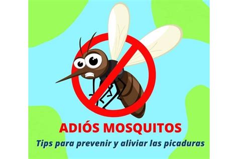 Adiós mosquitos Tips para prevenir y aliviar sus picaduras