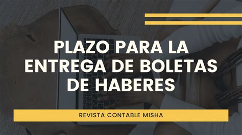 Plazo Para La Entrega De Boletas De Haberes Noticiero Contable