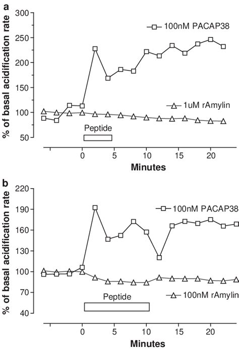 Effects Of Pacap38 Or Rat Amylin On Cellular Activity As Reflected By Download Scientific