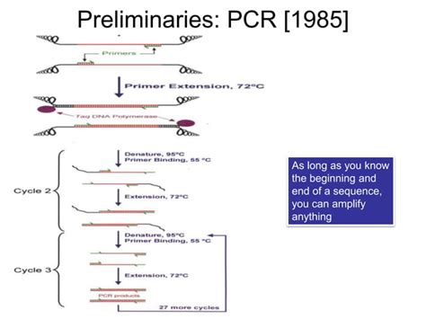 Next Gen Sequencing Ngs Technology Overview