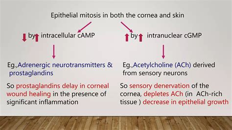 Neurotrophic Keratopathy Ppt