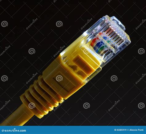 Lan cable stock image. Image of macro, close, isolated - 8285919