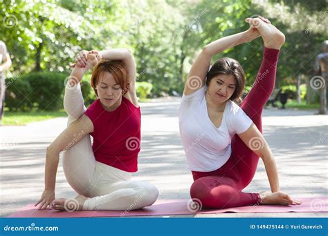 Groupe De Forme Physique Faisant Le Yoga Dans L Arbre De Pose De Parc