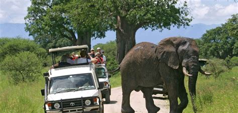 Kenya Safari Exploration Package 13 Days Kenya Beach Safaris