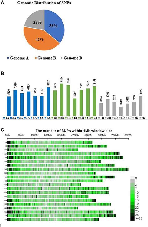 Frontiers Genotyping By Sequencing Based Molecular Genetic Diversity