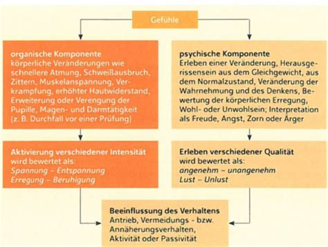 Emotion Und Motivation Flashcards Quizlet