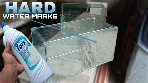 How To Remove Hard Water Stains From Your Aquarium Youtube