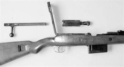 gm  gw rifles small arms review