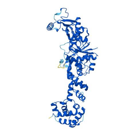 Rcsb Pdb Af Afq Ua F Computed Structure Model Of Glutamate Trna