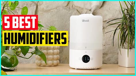 The 5 Best Humidifiers In 2021 Youtube