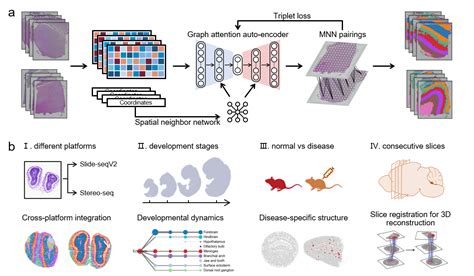 Staligner Integrating Spatial Transcriptomics Data Across Different