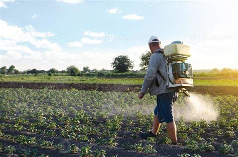 Agricultor Pulveriza Uma Plantação De Batata Com Um Pulverizador