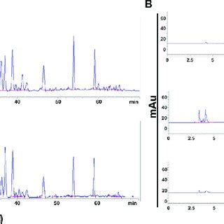 Ngbe And Tgbe Reduced The Infarct Volume In Acute Permanent Cerebral