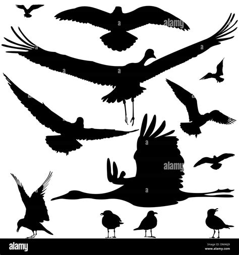 Birds Landscape Aerial Stock Vector Images Alamy