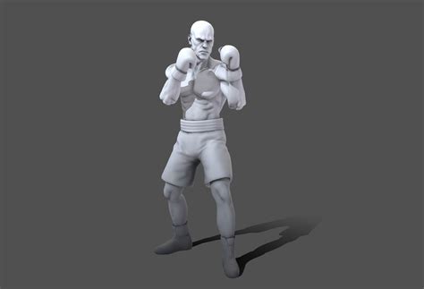 350 Boxing Animations