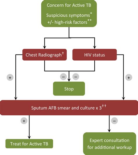 Pulmonary Tuberculosis Role Of Radiology In Diagnosis And Management