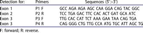 Primer Sets For The Detection Of Hbb Gene Mutations Download Scientific Diagram