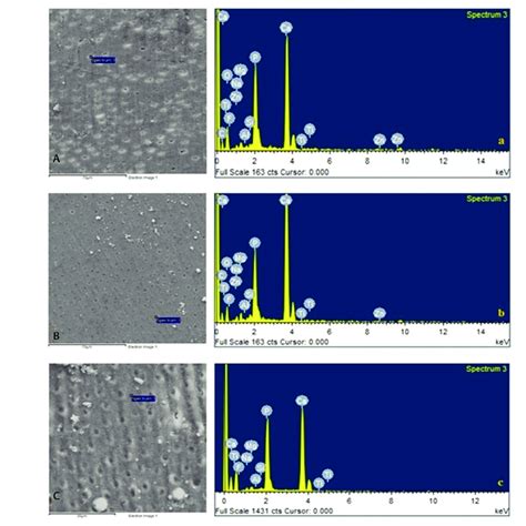 Energy Dispersive X Ray Edx Of Samples Treated With Nano Sized